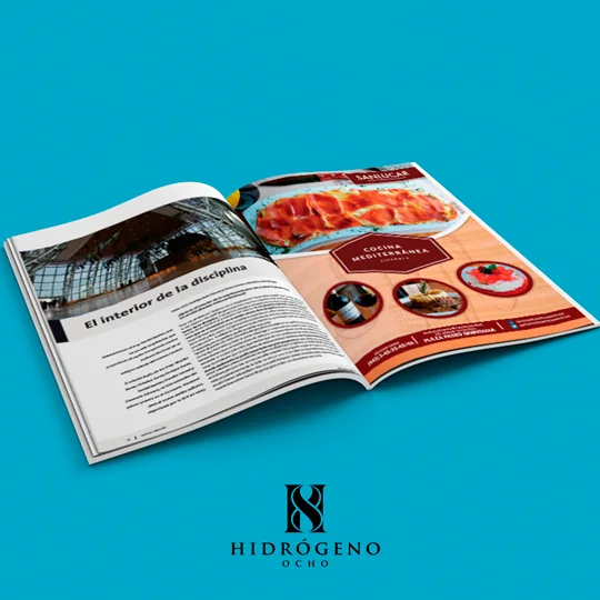 Anuncio para Revista — Santa Sed
